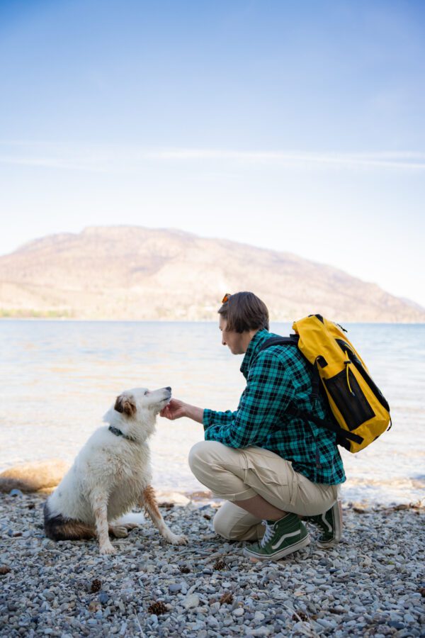 Wanderer 30-liter Dry Backpack - Image 12